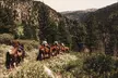 Guided Horseback Trail Rides - Second Medium