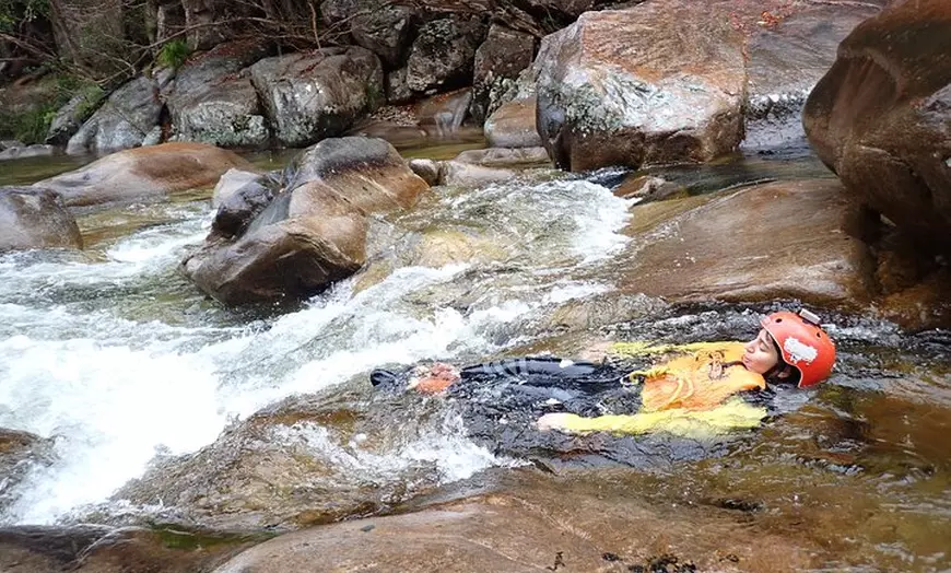Image 5: Crystals Cascades Canyoning by Cairns Waterfalls
