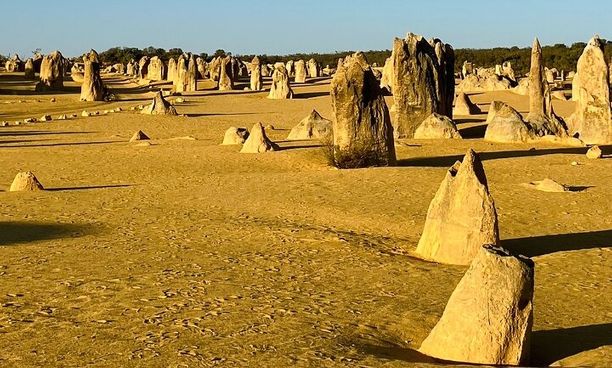 Image 5: 4WD Pinnacles Desert Turquoise Coast and Sand Boarding Adventure