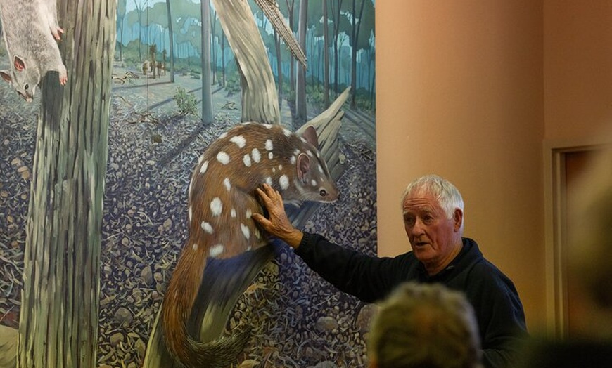 Image 20: Australian Animal Night Safari