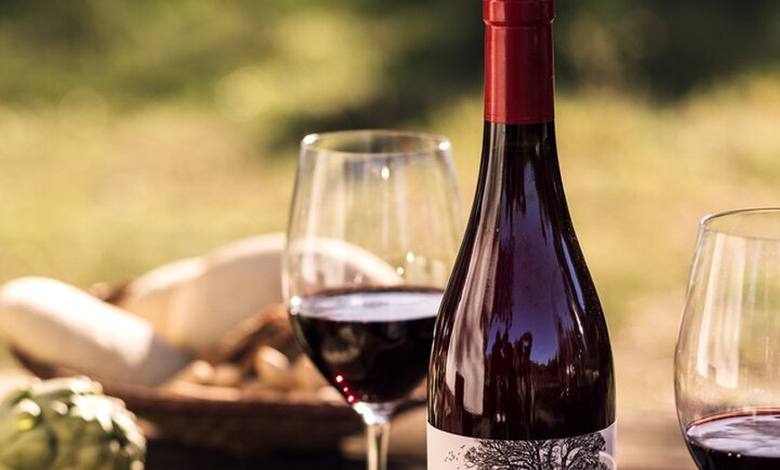 Image 8: Tour Ecológico por Bodega de Vinos en Ronda con Degustación