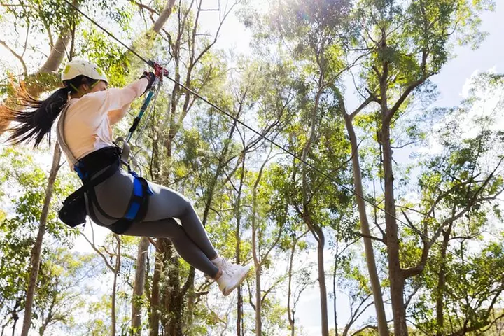 Treetop Challenge Adrenaline Pass - Primary Image