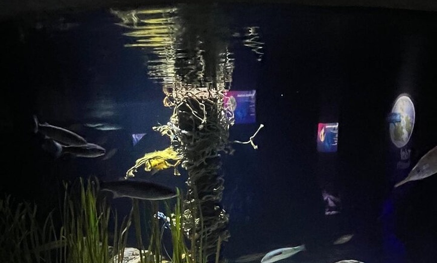 Image 21: London Walking Tour VIP