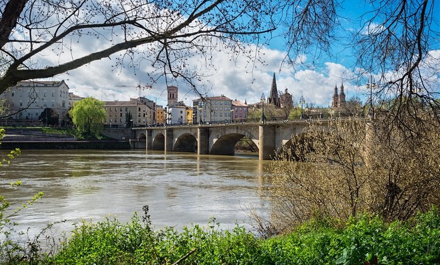 Image 4: Excursión a Logroño y Laguardia con visita a bodega desde Vitoria