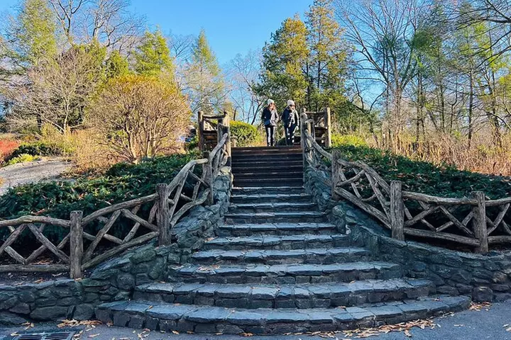 Central Park Pedicab Tour ( starting - Natural History Museum )