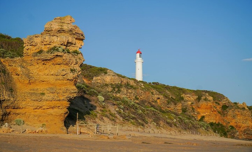 Image 4: Scenic Great Ocean Road Discovery Tour - Iconic Coastal Wonders