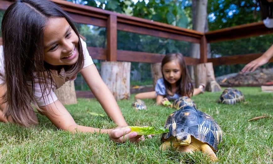 Image 14: Currumbin Wildlife Sanctuary & Burleigh Heads Private Tours