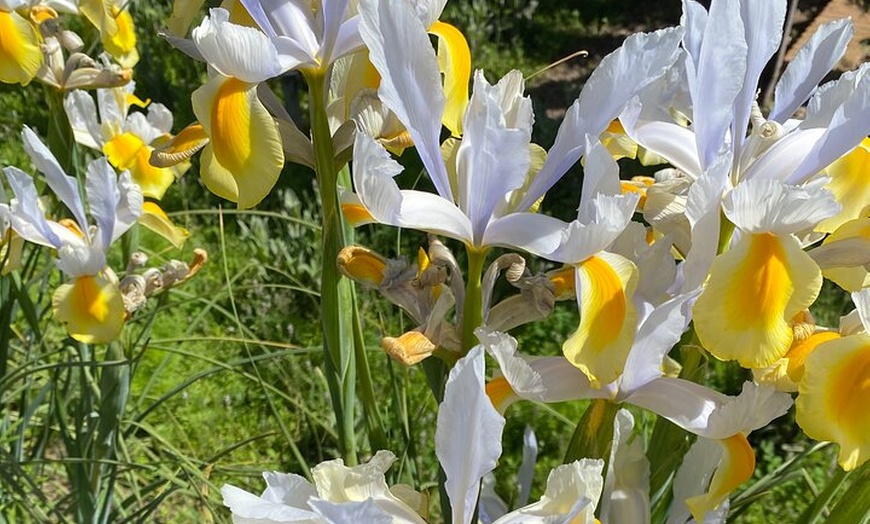 Image 22: Entradas de La Alhambra con Palacios Nazaríes +Tren Turístico