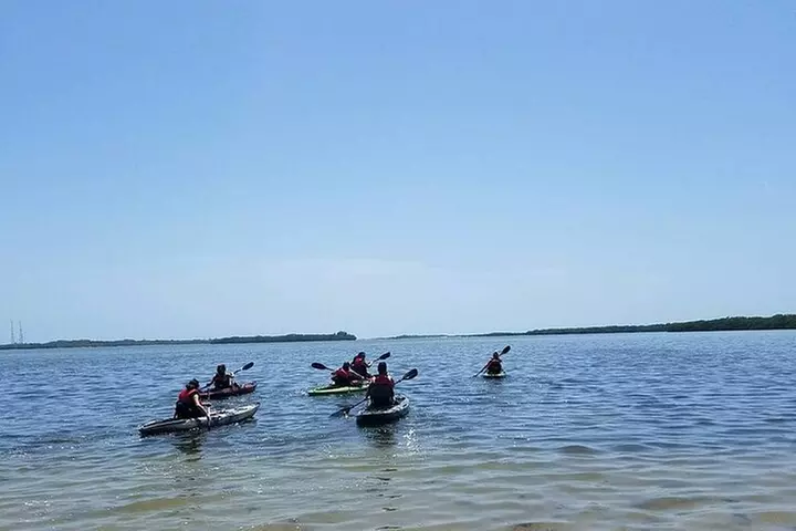 Guided Kayak EcoTour of Beautiful Shell Key Preserve