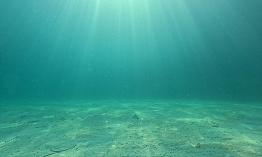 Image 18: Holistic Day Charter Paseo en Velero