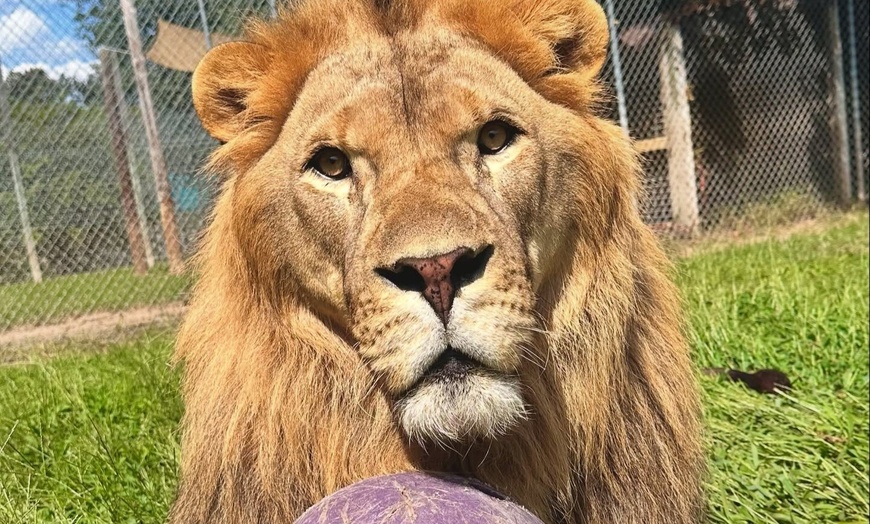 Image 2: $20 For A Zoo Admission, Wild Adventure Mini-Golf & Parakeet Jungle...