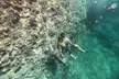 Mallorca : Paseo en kayak, cueva marina, salto acantilado y snorkel - Image 6