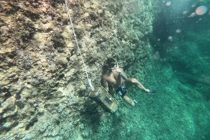 Mallorca : Paseo en kayak, cueva marina, salto acantilado y snorkel