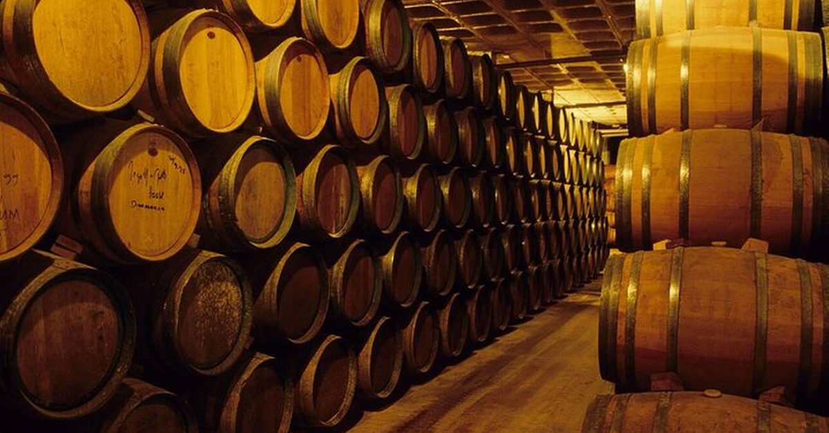 Tour privado por Requena desde Valencia con degustación en bodega