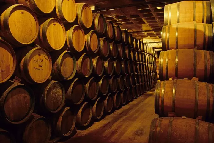 Desde Valencia Tour privado por la ciudad de Requena con degustación en bodega - Primary Image