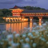 Image 8: ✈ COREA DEL SUD | Seul - Corea segreta e autentica 3*, 10 notti - Tour