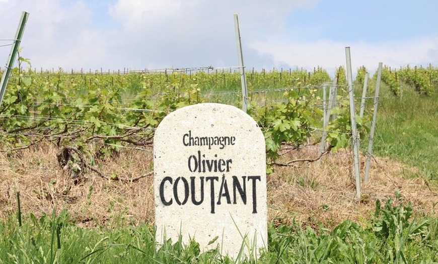 Image 12: Demi-journée groupe privé dégustation Champagne Domaine Coutant