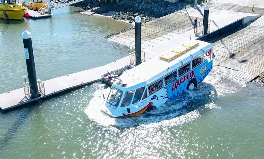 Image 9: Aquaduck Sunshine Coast - 1hr Mooloolaba Amphibious Tour