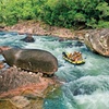 Image 8: Tully River Full-Day White Water Rafting