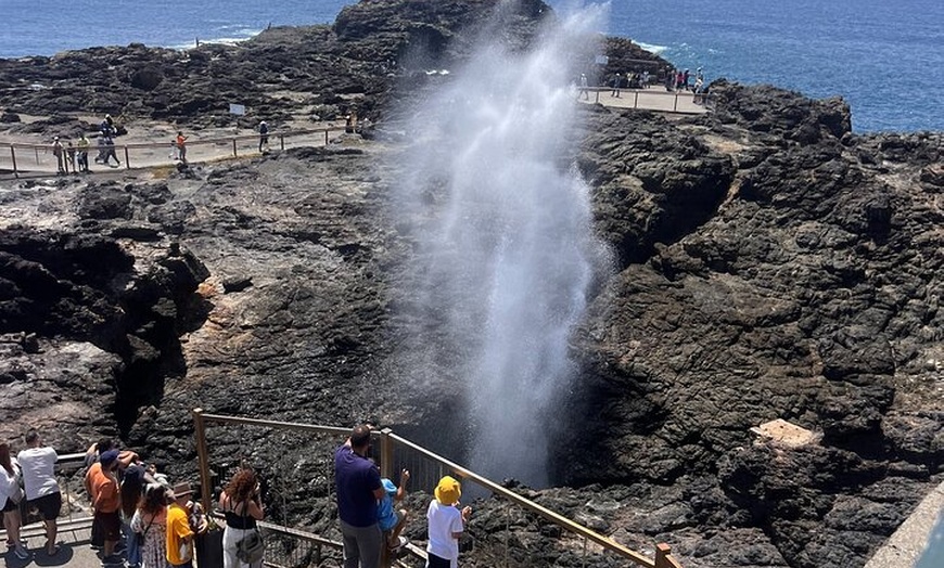 Image 15: Sydney South Coast and Highlands Private Tour
