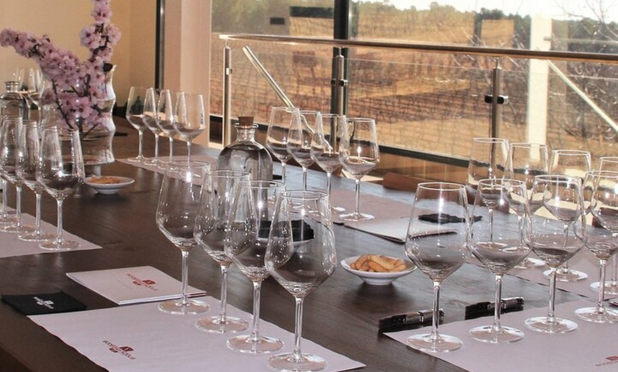 Image 13: Excursión por el viñedo de Valencia : Brunch rústico a la parrilla ...