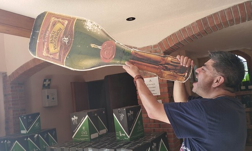 Image 4: Excursión en grupo pequeño a 2 bodegas con recogida gratuita en el ...