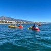 Image 6: Ruta Guiada en Kayak en Puerto Banús Marbella
