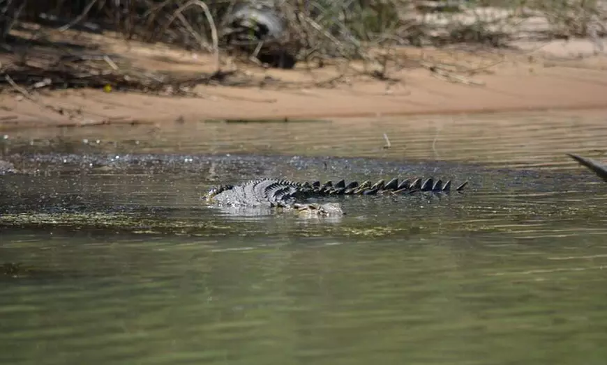 Image 6: Guided Kakadu Day Tour
