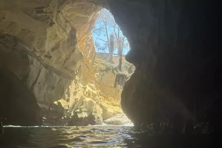 Snorkeling Adventure in La Jolla