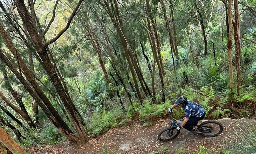 Image 3: Blue Mountains Electric Bike Tour with Transport
