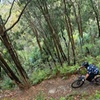 Image 3: Blue Mountains Electric Bike Tour with Transport