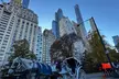 Central Park Daytime Carriage Ride NYC's Timeless Tour - Second Medium