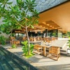 Image 16: ✈ SRI LANKA | Yala - Hilton Yala Resort 5*, 5 nuit - Tout inclus