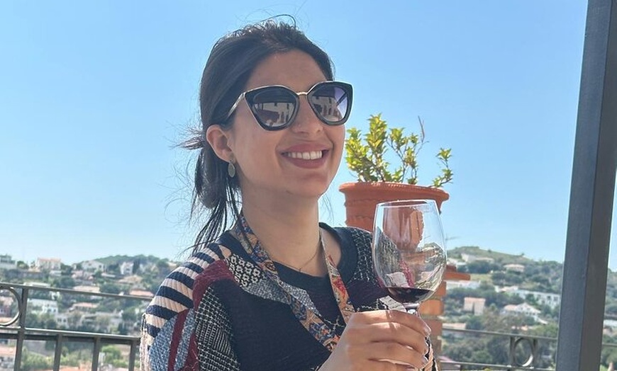 Image 13: Gaudí Unveiled & Premium Wine Escape - Tour Privado