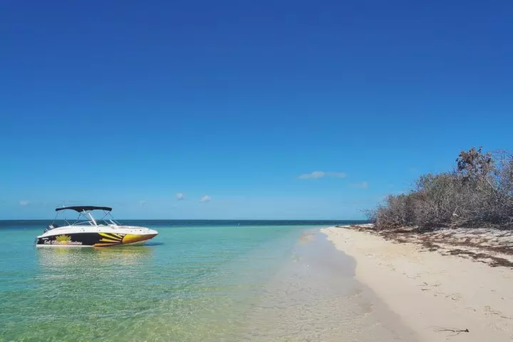 Sandbar Excursions with Snorkeling and Sunset Cruises in Key West - Second Medium