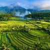 Image 2: ✈ BALI | Ubud & Legian - Découverte des Traditions Balinaises, 7 nu...