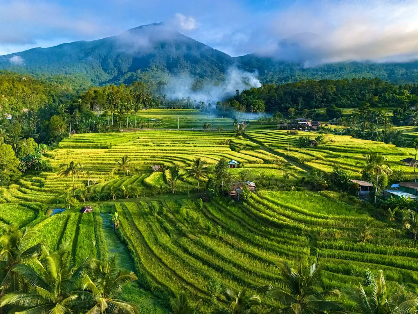 ✈ BALI | Ubud & Legian - Scoperta delle Tradizioni Balinesi, 7 nott...