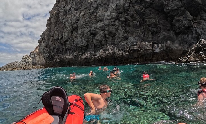 Image 7: Kayak con delfines y tortugas y snorkel en Palmmar
