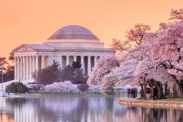 Cherry Blossoms, City Tour, Seasonal Cruise, Optional Tickets - Primary Image