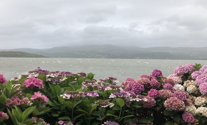 Image 5: HOLYHEAD - Portmeirion, Snowdonia and Llanberis