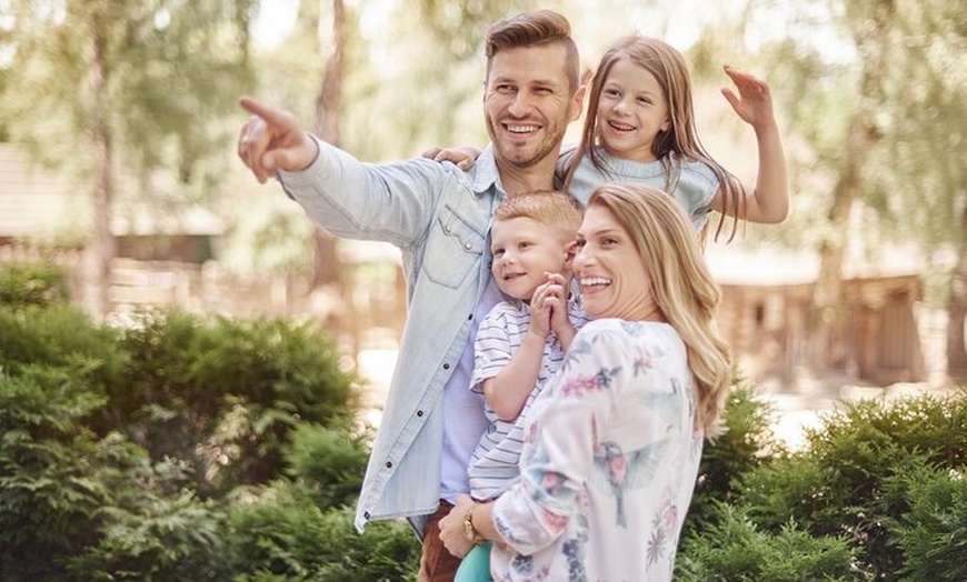 Image 9: Privater Transport zum Berliner Zoo