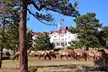 Discover Rocky Mountain National Park - Second Medium