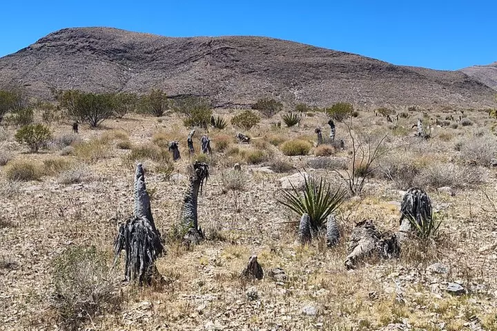 Las Vegas ATV Tours