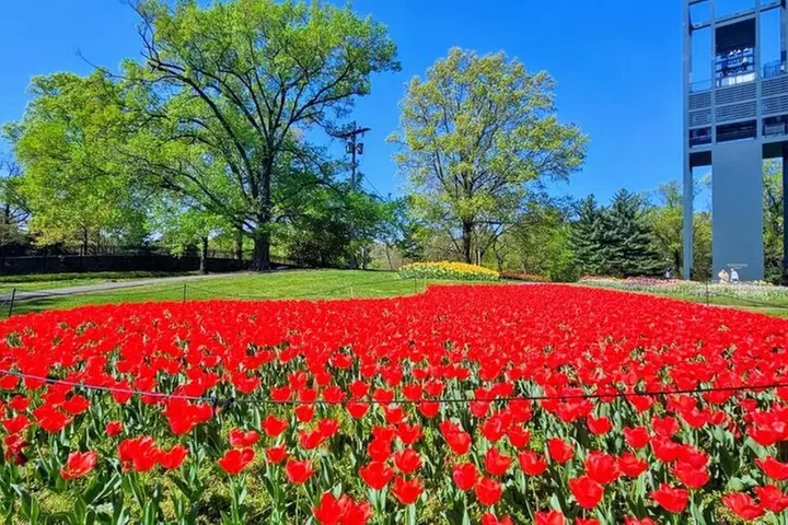 Small Group Washington DC Tour with Changing of the Guard
