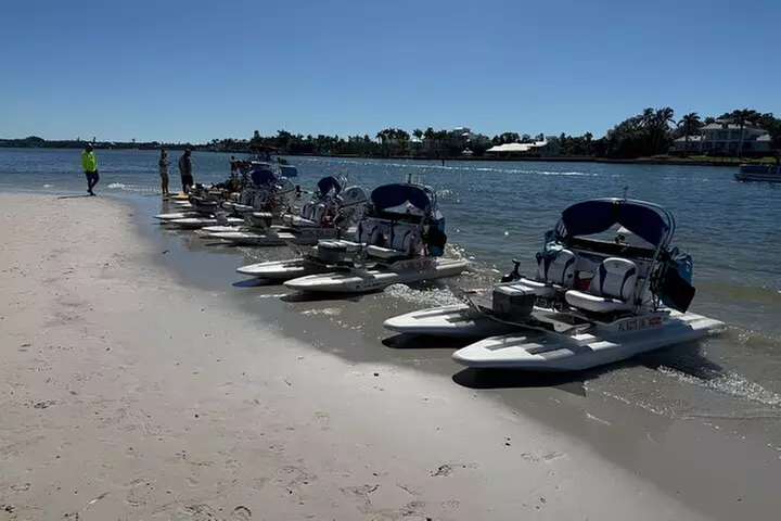 HydroCats - HydroCats | Groupon