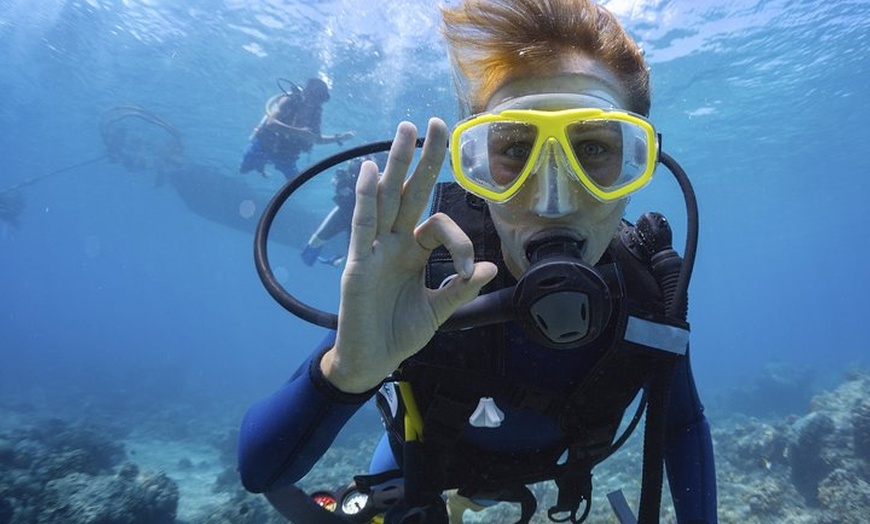 Image 4: Mallorca: Bautismo de buceo desde la playa