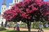 French Quarter Historical Sights and Stories Walking Tour