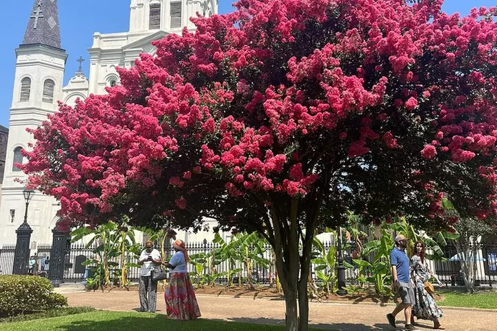 French Quarter Historical Sights and Stories Walking Tour - Primary Image