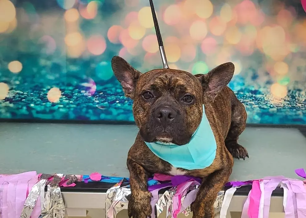 $15 For $30 Towards Any Service