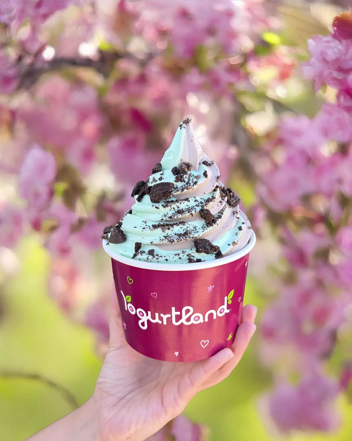 $10 For $20 Worth Of Frozen Yogurt